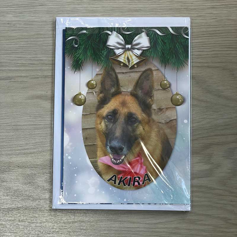 Christmas Card Akira 
