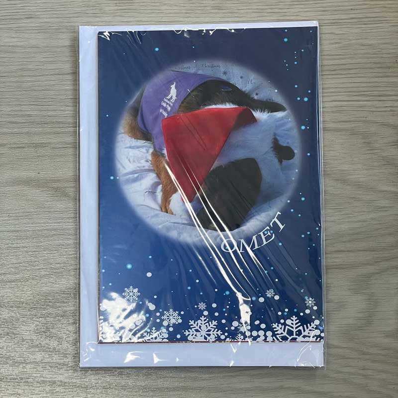 Christmas Card Omet 
