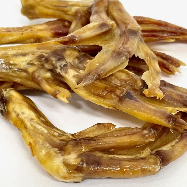 Close up picture of duck feet 