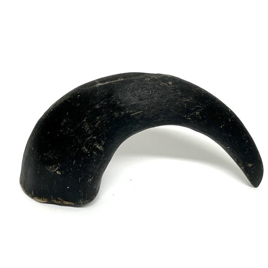 mini buffalo horn
