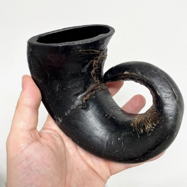 buffalo horn