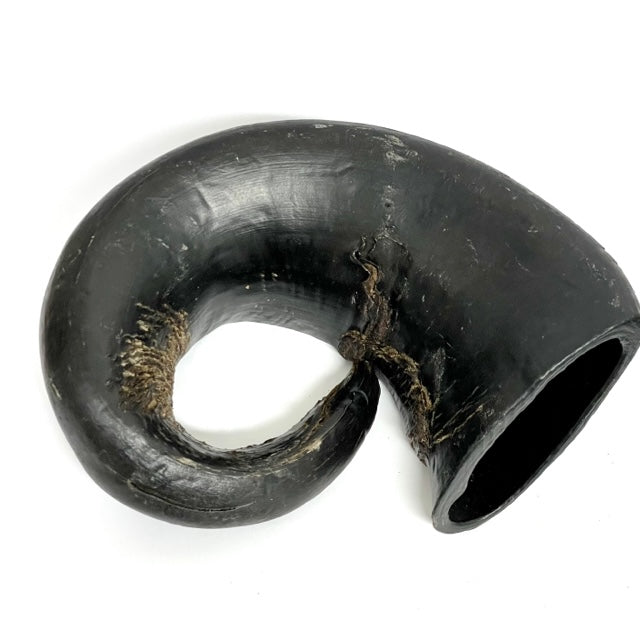 buffalo horn